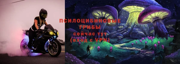 гашиш Нефтекумск