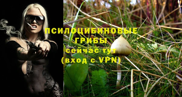прущие грибы Нефтегорск