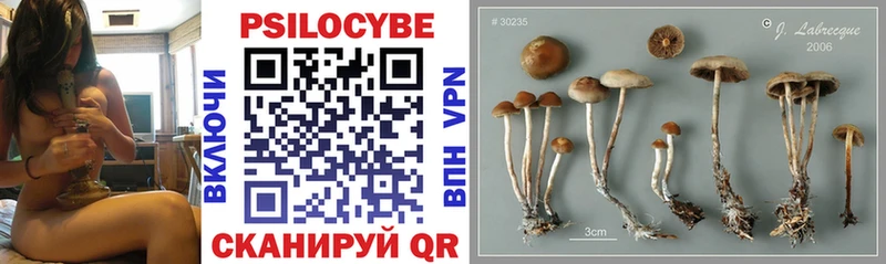 Псилоцибиновые грибы прущие грибы Тетюши